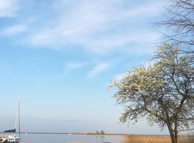 Niezapominajki-domki I Nad Brzegiem Jeziora